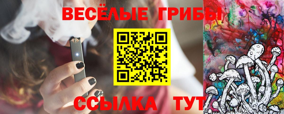 Псилоцибиновые грибы GOLDEN TEACHER Ачинск